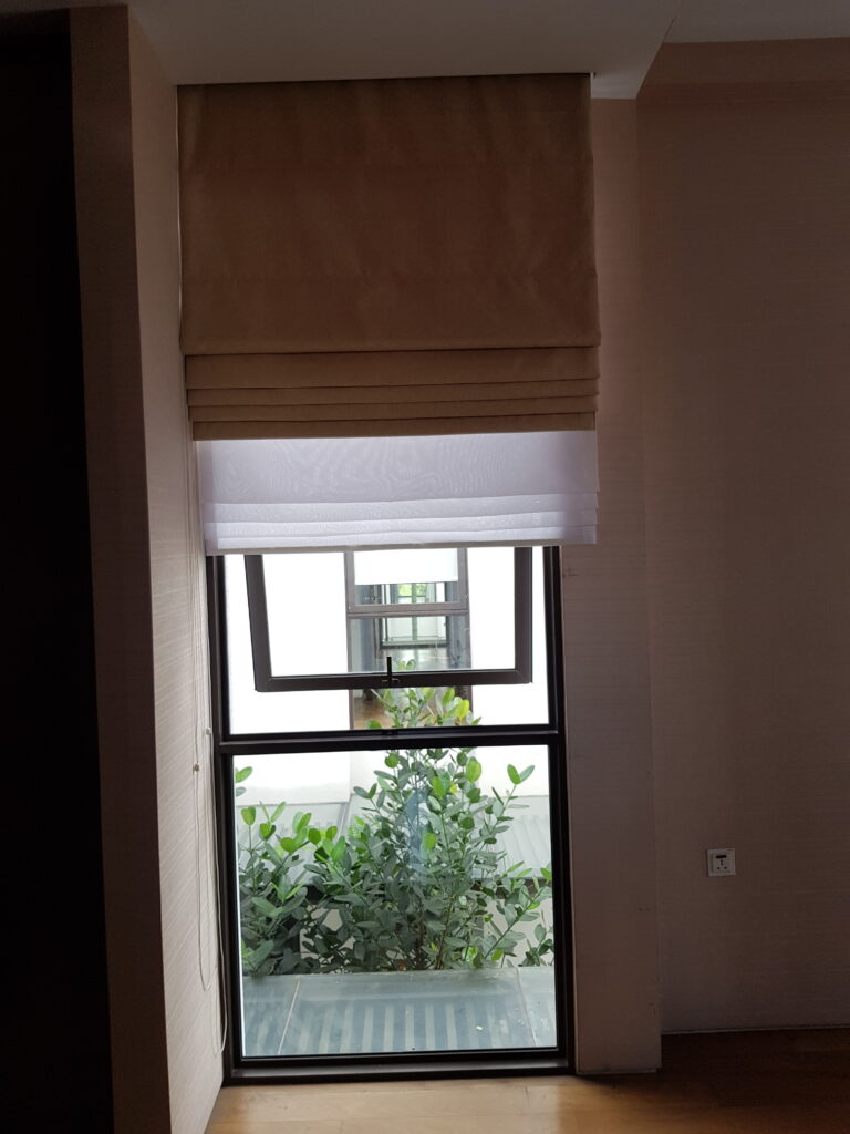 Blackout and Day Roman Blinds